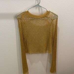 Zara Gold Mesh Crop Top